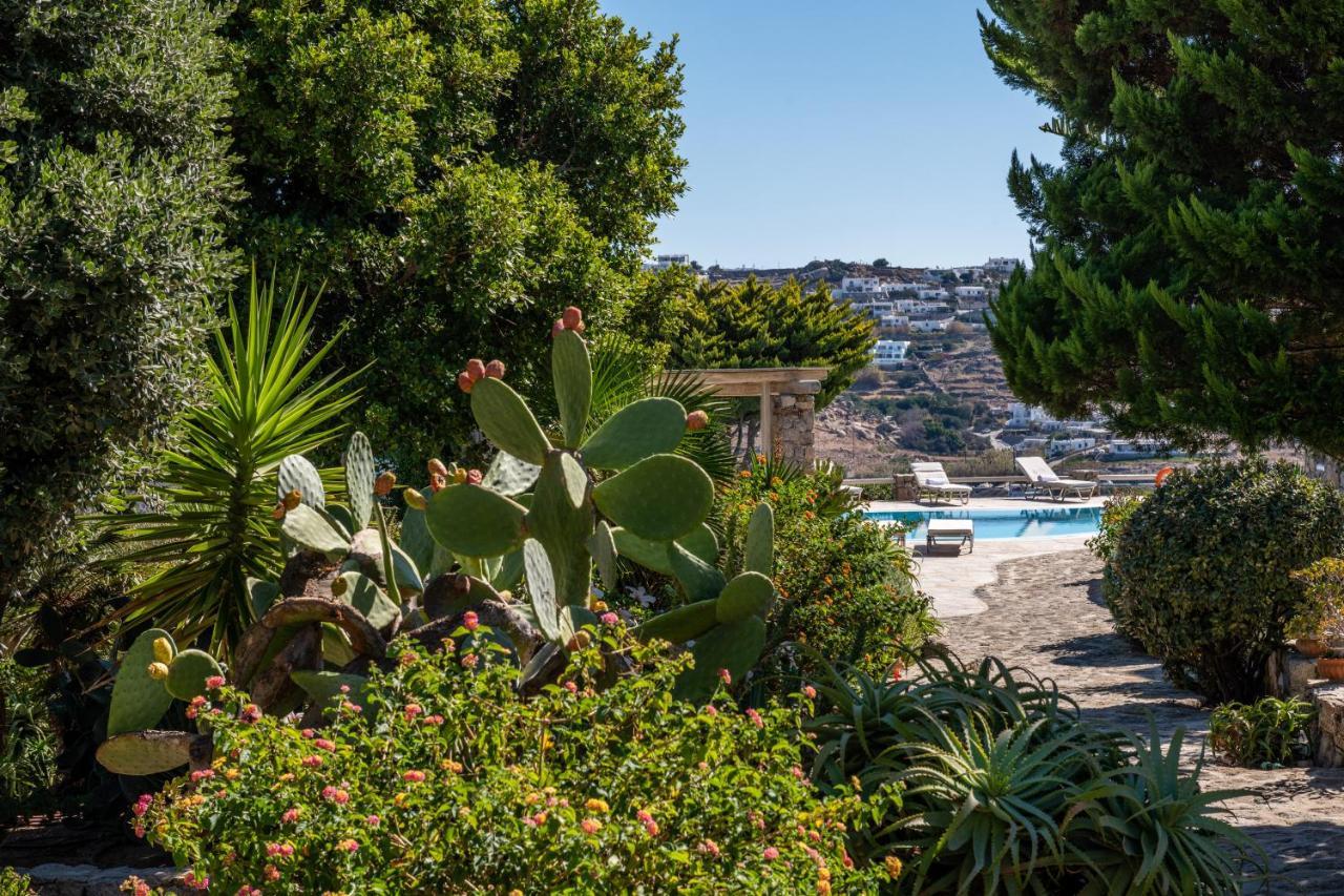 Yalos Mykonos Ornos Pouli Private Apartments W Shared Swimming Pool Mykonos Town Dış mekan fotoğraf